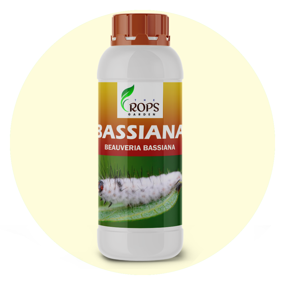 BASSIANA – Organic Insecticide & Biological Pesticide | Beauveria bassiana for All Crops | Controls Small Larvae & Harmful Insects Naturally
