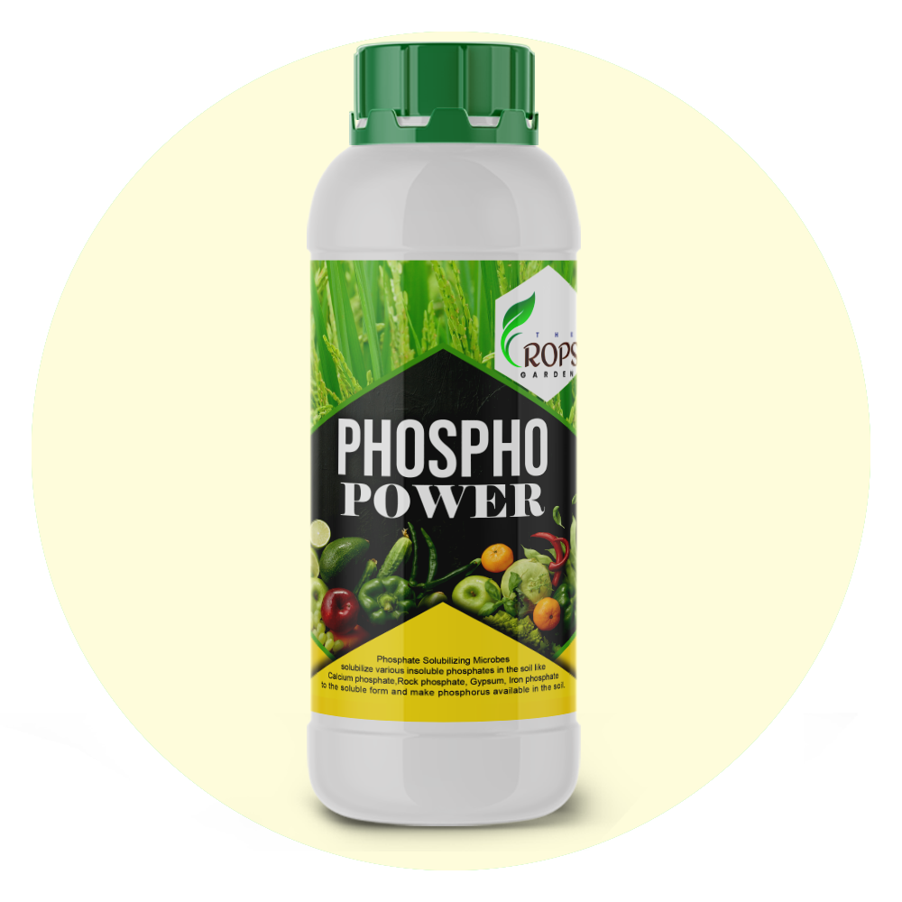 PHOSPHO POWER – Organic Phosphorus Solubilizing Biofertilizer | Phospho Bacteria for All Crops | Boosts Root Growth & Yield