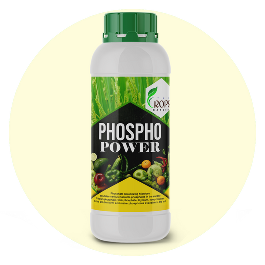 PHOSPHO POWER – Organic Phosphorus Solubilizing Biofertilizer | Phospho Bacteria for All Crops | Boosts Root Growth & Yield
