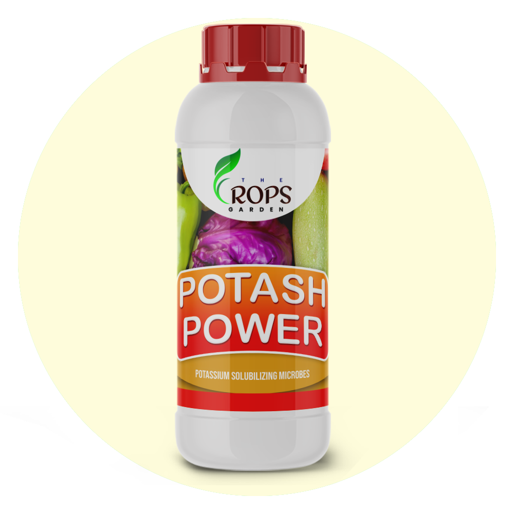 POTASH POWER – Organic Potassium Boosting Biofertilizer | Potash Bacteria for All Crops | Enhances Growth & Yield Naturally