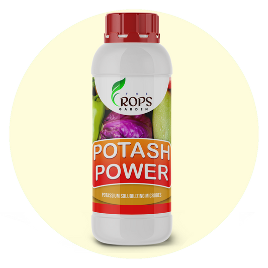 POTASH POWER – Organic Potassium Boosting Biofertilizer | Potash Bacteria for All Crops | Enhances Growth & Yield Naturally
