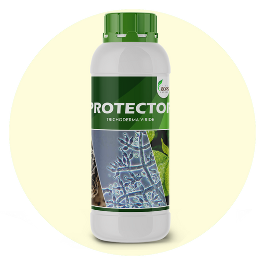 PROTECTOR – Organic Biological Fungicide | Trichoderma viride for All Crops | Shields Plants from Fungal Diseases & Enhances Immunity