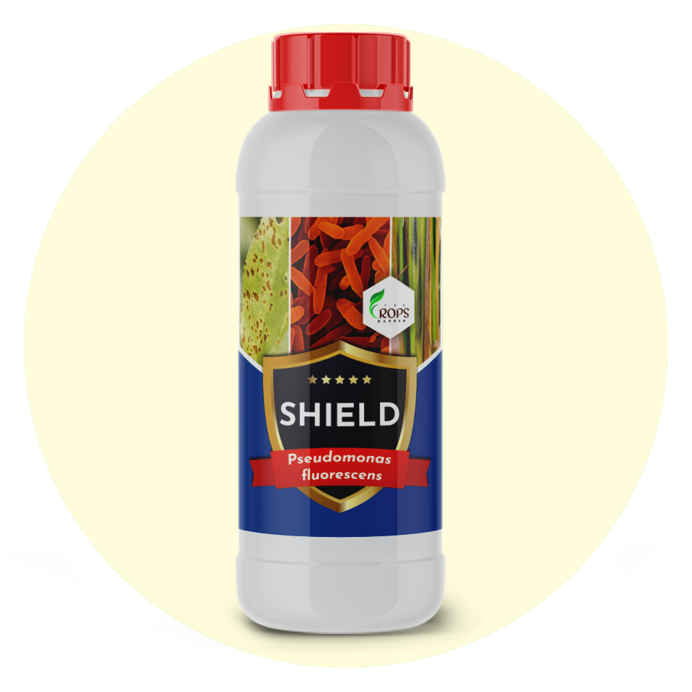SHIELD – Organic Biological Fungicide | Pseudomonas fluorescens for All Crops | Protects Against Fungal Diseases & Boosts Plant Immunity