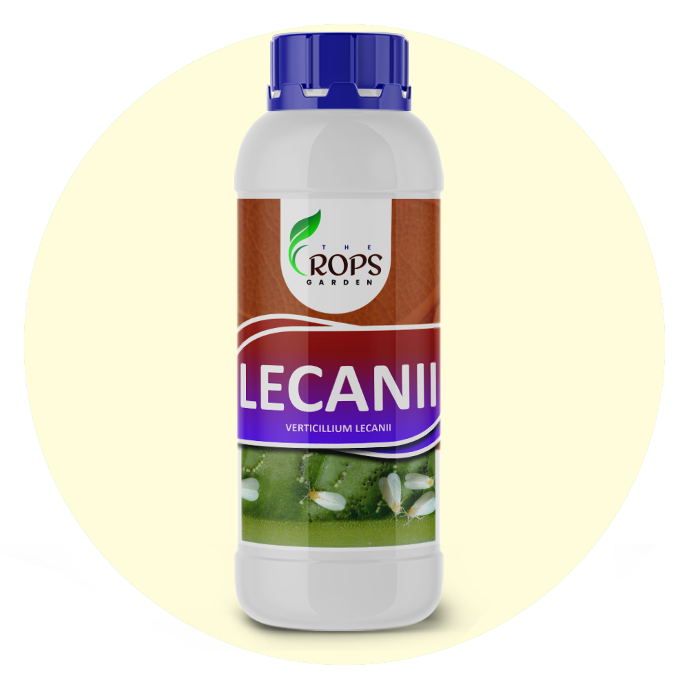 LECANII – Organic Insecticide & Biological Pest Control | Verticillium lecanii for All Crops | Kills Whiteflies, Aphids & More