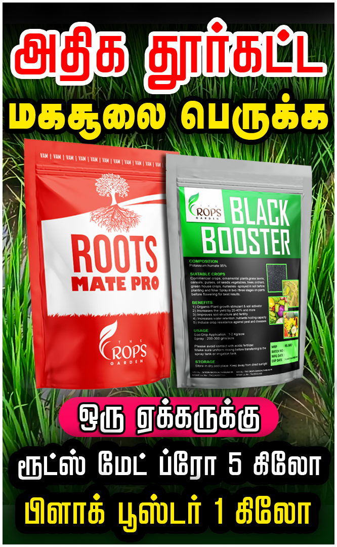 ROOTS MATE PRO and BLACK BOOSTER COMBO