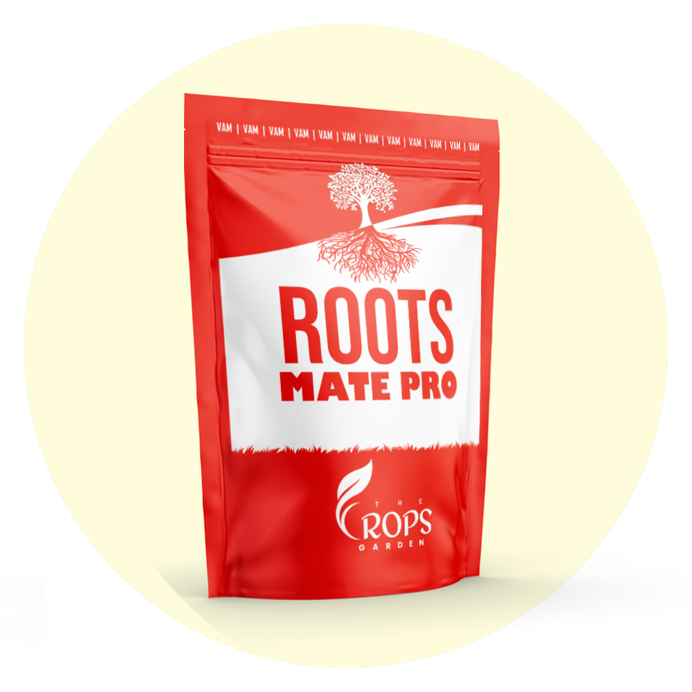 Roots Mate Pro 5kg | Paddy Tillering Fertilizer