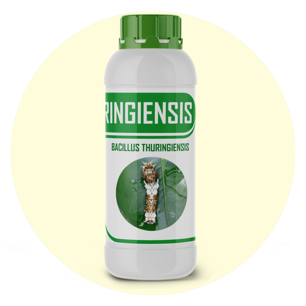 THURINGIENCIES – Organic Larvicide & Biological Pesticide | Bacillus thuringiensis for All Crops | Kills Large-Sized Larvae Effectively