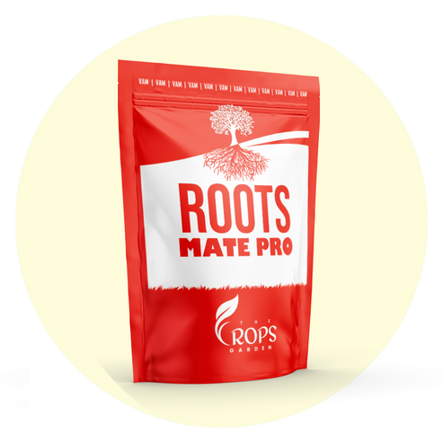 Roots Mate Pro 5kg | Paddy Tillering Fertilizer – Crops Agro